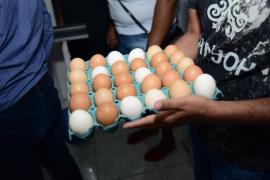 WhatsApp Image 2019-02-22 at 18.45.22.jpeg