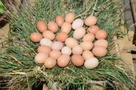 WhatsApp Image 2019-02-22 at 18.47.34.jpeg