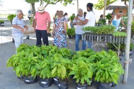 WhatsApp Image 2019-02-28 at 19.30.53.jpeg