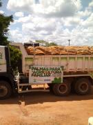 WhatsApp Image 2019-03-02 at 10.46.51.jpeg