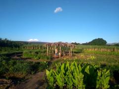 WhatsApp Image 2019-04-01 at 07.55.25.jpeg