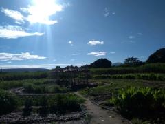 WhatsApp Image 2019-04-01 at 07.55.28 (1).jpeg