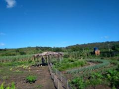 WhatsApp Image 2019-04-01 at 07.55.28 (2).jpeg