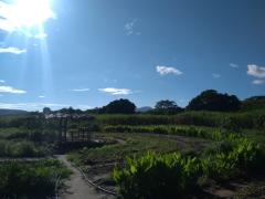 WhatsApp Image 2019-04-01 at 07.55.28.jpeg