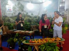 WhatsApp Image 2019-04-13 at 22.50.14.jpeg