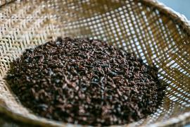 WhatsApp Image 2019-04-24 at 17.22.23.jpeg