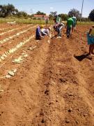 WhatsApp Image 2019-04-26 at 06.35.54.jpeg