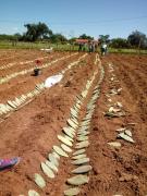 WhatsApp Image 2019-04-26 at 06.35.55 (2).jpeg