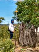 01 - Georreferenciamento em Correntina.jpeg