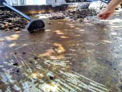 WhatsApp Image 2019-05-14 at 11.40.35.jpeg