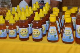 WhatsApp Image 2019-05-28 at 10.33.08 (1).jpeg