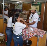 WhatsApp Image 2019-05-28 at 10.33.51.jpeg