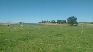 Área de Piquetes da UTD de leite a pasto da sra Darcy.jpg