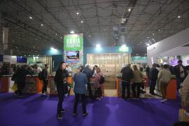 IMG_9870 - Copia.JPG