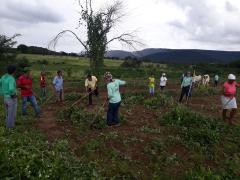 Implantação de Unidade de mandioca - Comunidade de Morro de Fora em Paratinga - Fevereiro de 2017.jpg