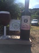 Intercâmbio (29).jpeg