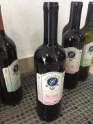 Intercâmbio (30).jpeg