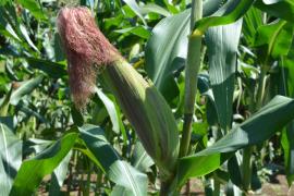 WhatsApp Image 2019-06-13 at 17.29.01.jpeg