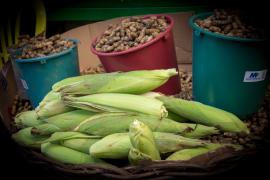 WhatsApp Image 2019-06-13 at 17.34.45 (1).jpeg