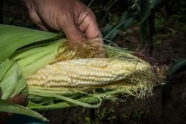 WhatsApp Image 2019-06-13 at 17.34.46 (3).jpeg