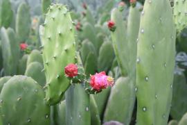 WhatsApp Image 2019-06-14 at 17.41.29.jpeg