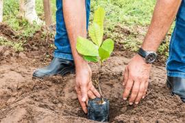 WhatsApp Image 2019-06-17 at 15.19.29.jpeg