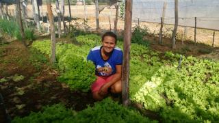 canteiros de hortaliças da sra. Darcy de Capim - Sítio do Mato.jpg