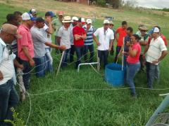 intercambio na propriedade da sra Dacy - Unidade Intensiva de Leite a Pasto.jpg