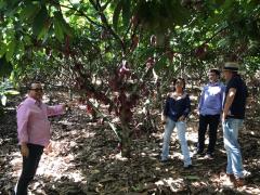 03 Visita Jiquirica  - Producao Cacau.jpeg