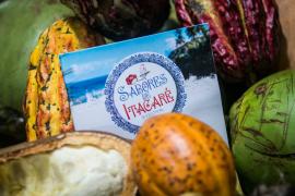 Festival_Sabores_de_Itacaré_-_2019-11 (1).jpg