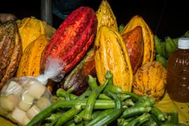 Festival_Sabores_de_Itacaré_-_2019-12 (1).jpg