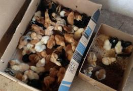 WhatsApp Image 2019-05-04 at 20.46.10.jpeg