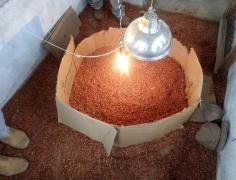 WhatsApp Image 2019-05-04 at 20.46.29.jpeg