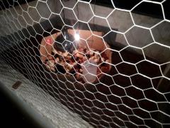 WhatsApp Image 2019-05-04 at 20.46.39.jpeg