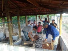 WhatsApp Image 2019-05-04 at 20.46.42.jpeg