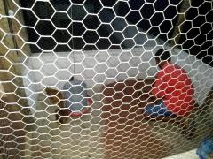 WhatsApp Image 2019-05-04 at 20.46.47.jpeg