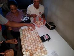 WhatsApp Image 2019-05-06 at 15.16.16 (1).jpeg