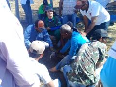 WhatsApp Image 2019-07-10 at 12.09.25.jpeg