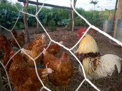 WhatsApp Image 2019-07-22 at 14.42.02.jpeg