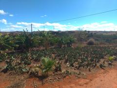 WhatsApp Image 2019-07-26 at 17.29.27.jpeg