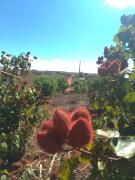 WhatsApp Image 2019-07-26 at 17.29.28 (1).jpeg