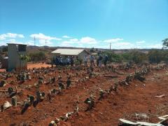 WhatsApp Image 2019-07-26 at 17.32.15.jpeg