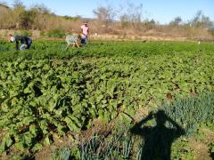 WhatsApp Image 2019-07-28 at 11.31.00.jpeg