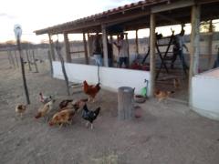 WhatsApp Image 2019-07-30 at 15.11.34 (1).jpeg