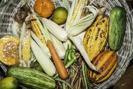 Sessão Especial na Alba-4.jpg