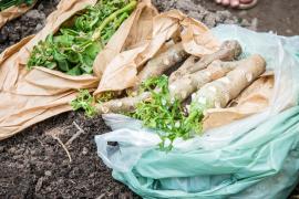 WhatsApp Image 2019-08-13 at 17.09.27.jpeg