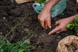 WhatsApp Image 2019-08-13 at 17.09.28.jpeg