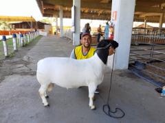 WhatsApp Image 2019-08-14 at 14.59.43 (1).jpeg