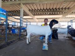 WhatsApp Image 2019-08-14 at 14.59.43 (2).jpeg