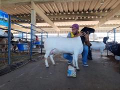 WhatsApp Image 2019-08-14 at 14.59.43 (3).jpeg